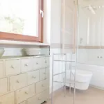 فيلة Luisa باري